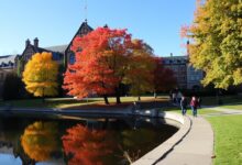 Higher Education in Canada: Study Opportunities